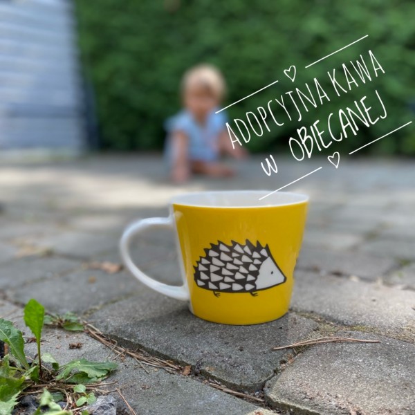 Adopcyjna Kawa w Obiecanej